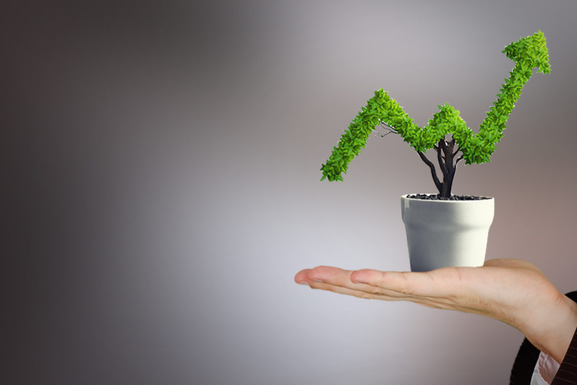 customised software | Corporate Branding